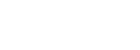 Logo Conquer